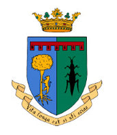 Don Bastiano - Verdicchio di Matelica D.O.C.