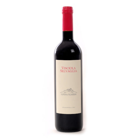 Visciola Selvaggia Cantina Valdimiro